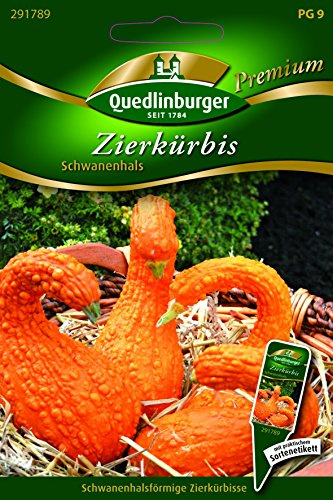 Kürbis Zier- Schwanenhals - Cucurbita pepo L. QLB Premium Saatgut Blumen einjährig