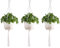 Appendini per Piante Macramè, 3pc Vasi da Fiori Appendiabiti, Cesti Floreali in Macramè, Cestino Corda di Cotone Appeso, Vaso da Fiori Appeso, per Giardino Balcone Soffitto Decorazione Domestica