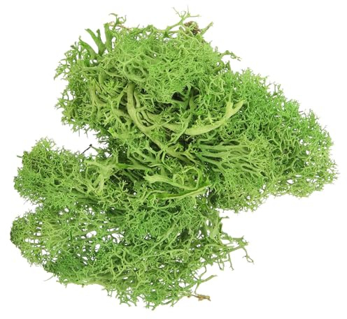 HOODANCOS Borsa di Muschio Artificiale per Decorazioni Ornamento di Muschio Colorato per Piante in Vaso Materiale Plastico Resistente per Artigianato e Composizioni Floreali per Fai da
