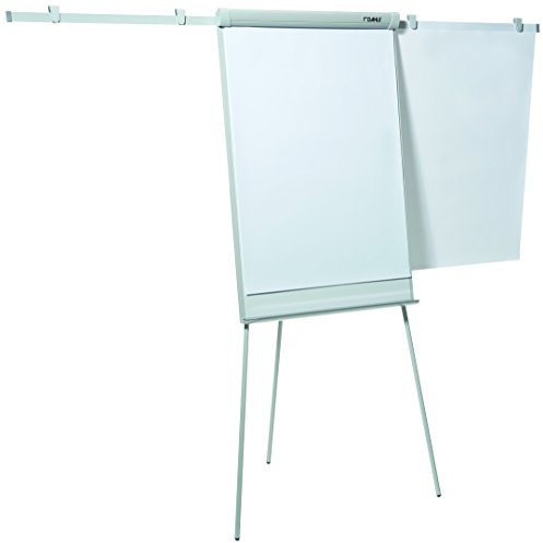 Dahle 96005 Bürotechnik Konferenz Flip-Chart (68 x 99 cm) grau