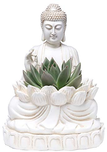 Bella Haus Design Maceta de Buda, poliresina de 9.5 Pulgadas de Alto, Soporte para macetas Zen para suculentas, Flores, Cactus, Estatua de Loto de jardín, decoración Interior o Exterior