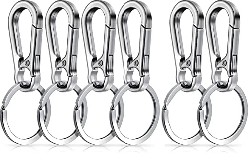 Voarge Metal Carabiner Clip Keyring nyckelring, 6 stycken metallkarbinhakar med avtagbar nyckelring, stabil nyckelkarbinhake