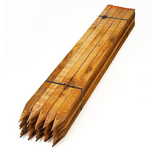 Homatz Wooden Garden Stakes 5 Pack, 1.8M / 6FT Long Square Wooden Stakes - Pressure Treated Timber for Plant & Tree Support - 32mm Thick Pegs