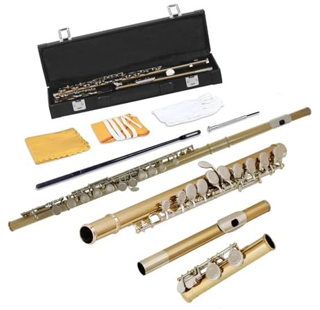 Querflöte Gold-Silber-Flöte Geschlossenes Loch C-Schlitz – Instrumental-Anfänger-Studentenflöte