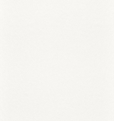 Rasch Tapeten Vliestapete (universell) Weiß 25,00 m x 1,00 m Makulaturvlies 129809