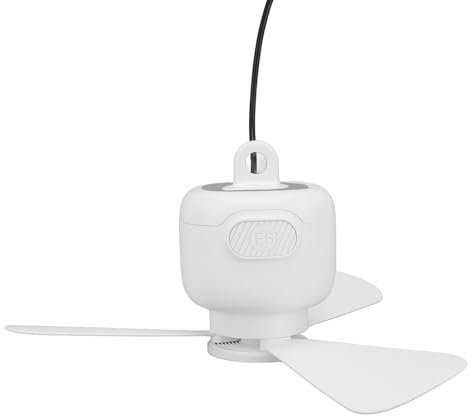 Bewinner Ventilateur de Plafond en Plein Air - Ventilateur de Plafond Suspendu, Espace Silencieux USB Sauveillance Silencieuse de Petit Ventilateur de Plafond Ventilateur Suspendu,