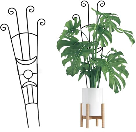 ZYHARUKO Lot de 2 grilles de plantes en fer pour buissons ascendants 83 cm Hauteur modifiable Oxydation Structure de jardin extérieur Immunitaire Lot de 2 plantes modifiables pour bols