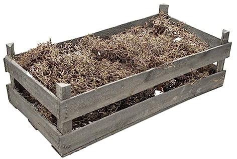 NaDeco Mauskraut Deko Zweige in Natur, verpackt in Einer Holzkiste | Dekoäste | Dekozweige | Deko Äste | Deko Holz | Deko Hölzer | kleine knorrige Zweige | Dry Busch | Dry Bush | Krippen Zubehör