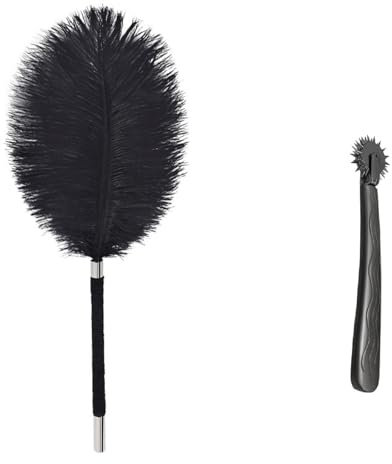 Ensemble de chatouilleur de plumes sensuel et de roue de massage, outils d'exploration sensorielle BDSM, cadeau romantique pour couple