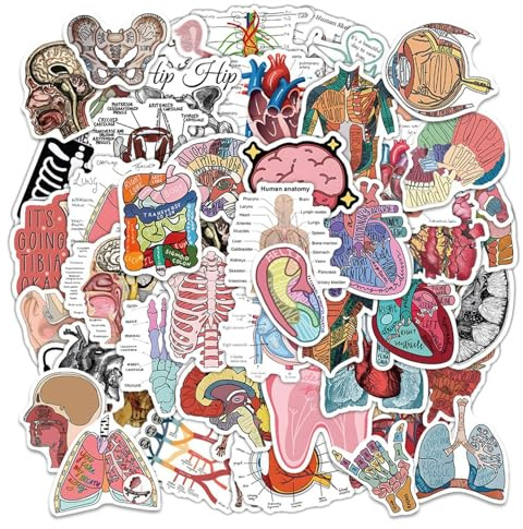 EHDWXVZM 100 pegatinas de órganos para ordenador portátil, pegatinas de órganos, pegatinas decorativas para equipaje, pegatinas decorativas