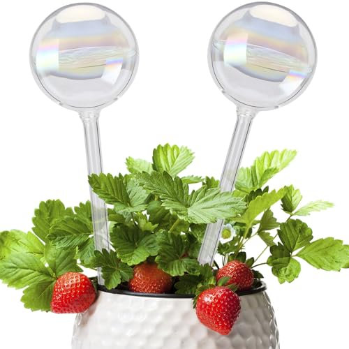 NathrBTV Punte autoirriganti in Vetro 2 Sfere di Irrigazione Palla Trasparente di Vetro Sistema di Irrigazione Automatica 180ML Acqua Sfere Grande per Stanze e Piante Esterne