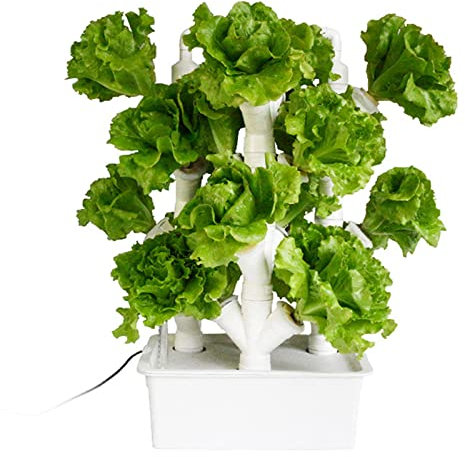 BEESOM Torre Idroponica, Idroponica Kit Completo, Attrezzatura per Piantagione Idroponica, Sistema di Coltivazione Idroponica Senza Suolo, per Verdure, Insalata, Fiori, Frutta,24Holes