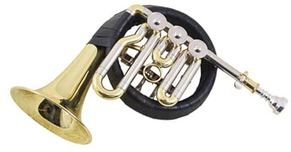 Waldhorn Anfängerinstrument Spielübung Waldhorn B Blechblasinstrument Für Anfänger Und Erwachsene(2)