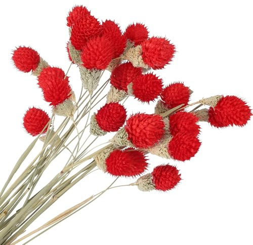 PATIKIL 16 tum/40 cm torkade blommor för vas, 30 st mini tallbollar blomma naturlig lös bukett, konstgjorda blommor höstdekoration för hem, bröllop, gör-det-själv-hantverk, röd