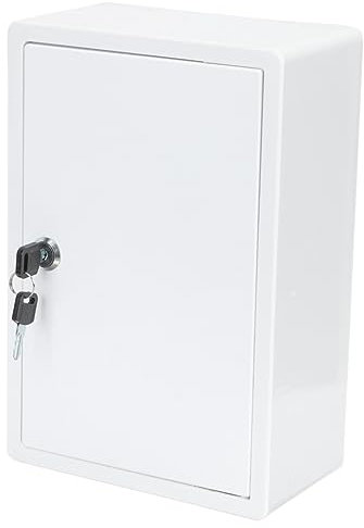 KONTONTY Boîte à Lait Murale Plastique Polyvalente Verrouillable Rangement Sécurisé pour Bouteilles Et Courrier Design Compact Et Léger Installation Facile pour Maison Et Bureau