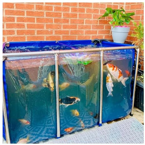 Rygcrud Freie Sicht Auf Den Teich, Wasserbecken mit Sichtfenster, Segeltuch-Folien mit Edelstahlrahmen, Auffangbehälter für Die Zucht Von Fischen/Schildkröten(150x100x71cm)