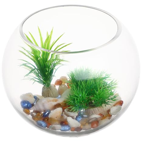 Toyvian Glasaquarium Für Zuhause Kleines Schreibtischaquarium Dekoratives Rundes Glasaquarium Miniatur-büroaquarium Transparentes Aquarien Für Fische Garnelen Krebse Und Mehr