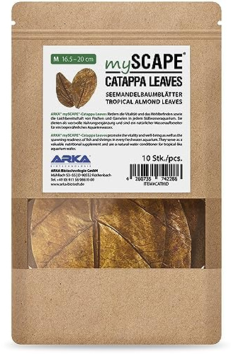Seemandelbaumblätter Aquarium 16,5-20 cm - Catappa Leaves M 10 STK. | natürlicher Wasseraufbereiter, Huminstoffe, für Vitalität, Wohlbefinden, Aquarienfische, Schwarzwasser Aquarien, Süßwasser