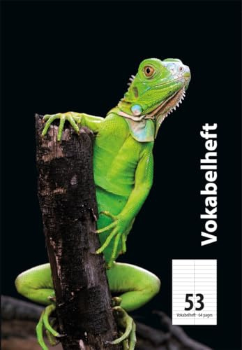 Adina Vokabelheft A6 32 Blatt Lineatur 53