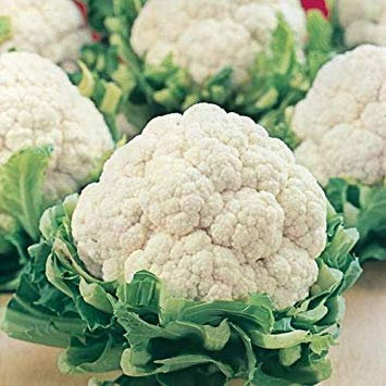 cavolfiore semi (25 per confezione):Semi