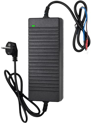 Spannungswandler 230V auf 12V, 180W 15A KFZ Netzadapter, Netzteil Zigarettenanzünder Wechselrichter, Netzteil Adapter AC auf DC für Kühlbox, Autoausrüstung, Reifenfüller