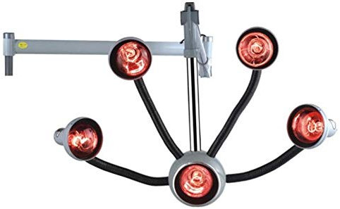 Secador de pelo de pie Lámpara infrarroja de 5 cabezas 750W Luz de calentamiento roja Tratamiento de terapia capilar Cuidado Muebles Procesador de color de salón con brazos flexibles,B It's so kind of