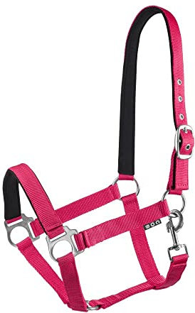 Start Halfter Pferd verstellbar – Nylon Halfter mit Polsterung – Größen: Pony, Cob, Warmblut – Komfortabel & Robust – Pferdehalfter für Stall & Weide (Himbeere, Cob)