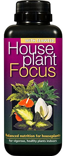 houseplant Focus 300ml Growth Technology
