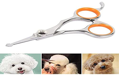 Forbici per cani in acciaio inox, taglia 13 x 5,5 x 0,5 cm, forbici da toeletta cane professionale per gatti e cani