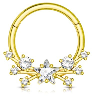 Agrewd Gioielli per Piercing Daith, Orecchini a Stella, Anello per Setto Nasale in Argento e Oro, Acciaio Chirurgico 316L, Piercing per Helix, Gioielli con CZ Chiaro, Orecchini per Cartilagine, Anello