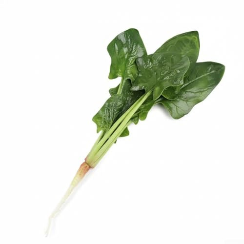 Alanmoship Realistic Fake Spinach Decor Artificial Vegetable PU Model With Adjustable Leaves For Home Christmas Party Decoration Greenery 27Cm(D)