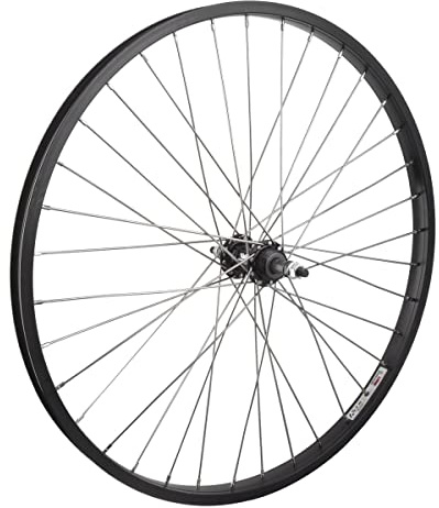 Wheel Rear 26 x 1.75 Black Alloy Cruiser, 3/8 Alloy FW 5-7sp Silver Hub, Bolt On, 12g SS Spokes, 36H