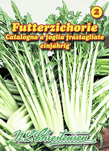 N.L. Chrestensen 28070120 Futterzichorie (35 g) (Zuckerhutsamen)
