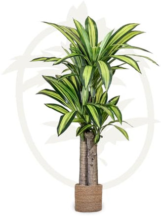 Maia Shop - Künstliche Dracaena 120 cm | Hyperrealistische dekorative Pflanze | Tropischer Baum zur Dekoration von Haus und Büro | Künstliche Pflanze mit Topf für Innen- und überdachte Außenbereiche