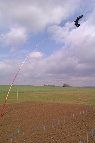 Vogelscheuche PROFESSIONELLE QUALITÄT 6 Meter