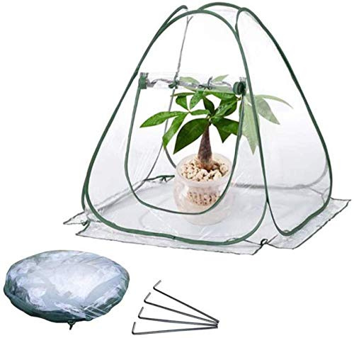 CLQ Mini Gewächshaus Pop-up wachsen Haus, PVC Indoor Outdoor Hinterhof Gewächshaus Abdeckung, kleine tragbare Pflanzen Abdeckung Garten Blumenschutz für Garten Outdoor Hinterhof