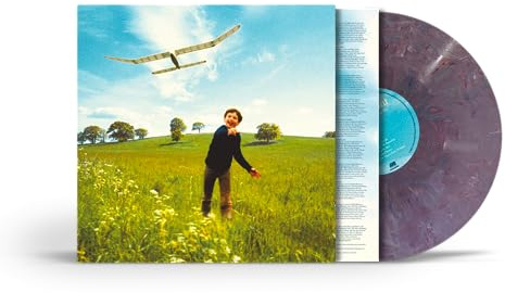 Who We Used To Be [Vinyl LP]