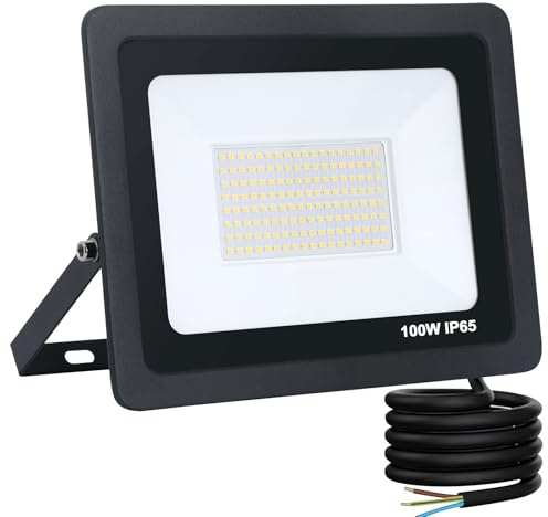 YCZM Foco LED Exterior 100W,IP65 Impermeable Foco Proyector LED,Blanco Neutro 4500K 10000 Lumen Focos LED Exterior,144 leds Terraza Floodlight para Casa,Garaje,Patio,Terraza,Campo【Negro 1 Pieza】