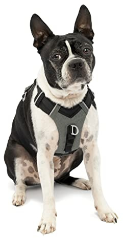 Kurgo Journey Air Hundegeschirr, Mit gepolstertem Brustteil und Rückgriff, Für Hunde von 5-11 kg, Größe S, Schwarz/Grau
