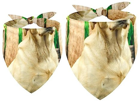Passendes Set mit Hundehalstüchern, Hundelätzchen, Schal, Dreieckstuch für Hunde, Katzen, Haustierbesitzer, Mutter und Vater, 2er-Pack,Tierischer Labrador