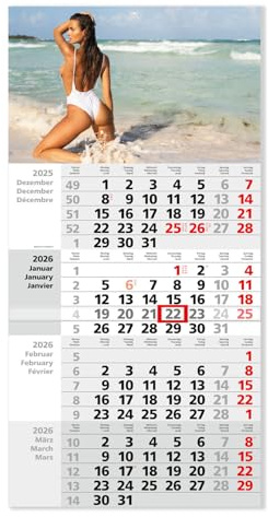 Timr 4-månadskalender 2026 väggkalender 4 månader med skjutreglage 65,5 cm fyramånadskalender flerspråkig D GB F I motiv kvinna strand stilfull nakenfotografering I tr367