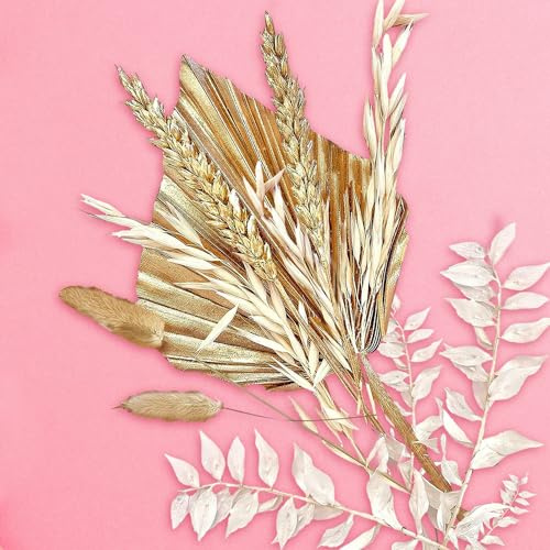 Fleurs séchées dorées pour gâteaux, feuilles de palmier, queues de lapin, ruscus, avoine, phalaris cupcake pour arrangements floraux, gâteaux, loisirs créatifs, couronne de mariage, décoration