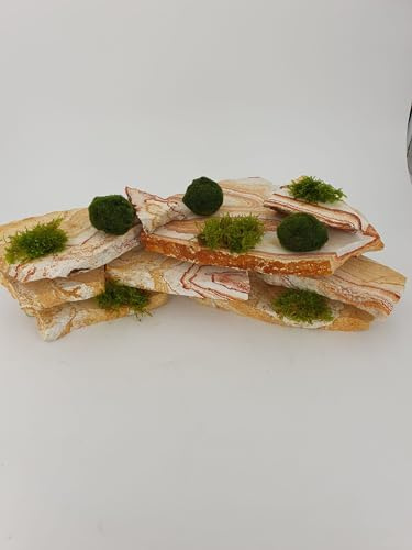 SAHAWA Schiefer Rainbow 2 Kg für Aqurium Deko mit 3 Mooskugeln und 1 Port. Moos einzeln zum selbst gestalten Ihrer Landschaft Garnelenbäumchen aus Schieferplatten