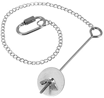 HANABASS Reusable Chicken Feeder for Fruit Veg Garden Decorative Hanging Feeding Tool for Chickens