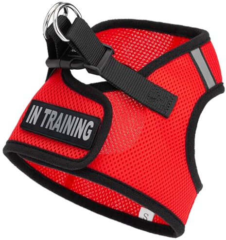 Dogline Boston Step in Mesh Dog Harness with in Training Patch No Choke Pet Vest Soft Gentle Padded Chest Halter for Puppies Small Medium and Large Dogs 32 to 36 inches Girth Red