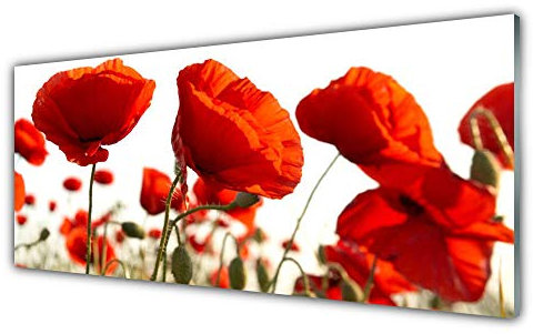 Tulup Acrylic Glass Print 125x50cm Wall Art - Wall Picture Plastic Acrylic Glass - Tulips Floral
