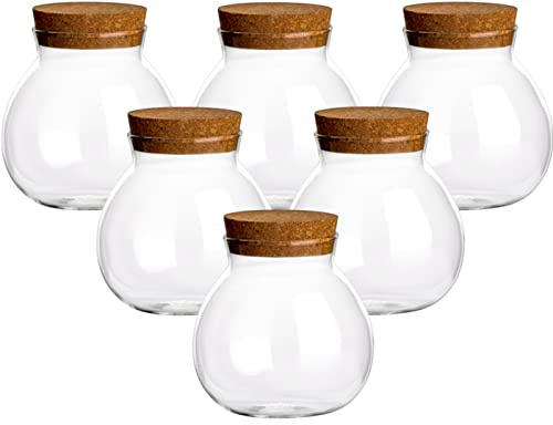 gouveo Set di 6 barattoli per conservazione da 600 ml a Forma di Palla in Vetro borosilicato con Tappo in Sughero - barattoli in Sughero per conservare Gli Alimenti