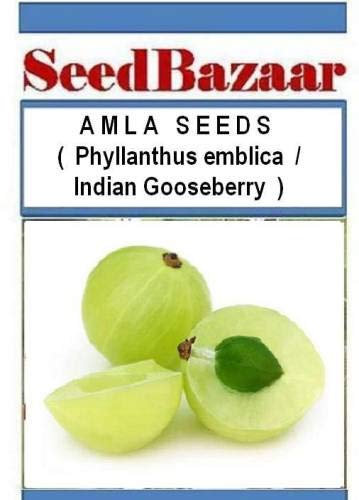 Amla, uva spina indiana, Phyllanthus Emblica Seed