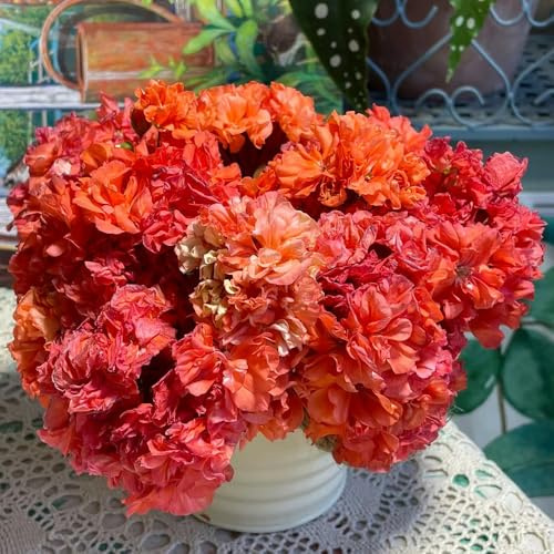 Geranien, blumensamen steingartenpflanzen winterhart für sonnige plätze seltene geschenke für gärtner bodendecker balkongewächshäuser bio stauden winterhart mehrjährig alte 950Samen