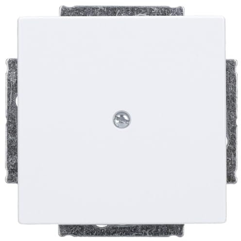 Busch-Jaeger 1742-84 Blindzentralscheibe mit Tragring Studioweiß Plattform 63 2CKA001710A3161